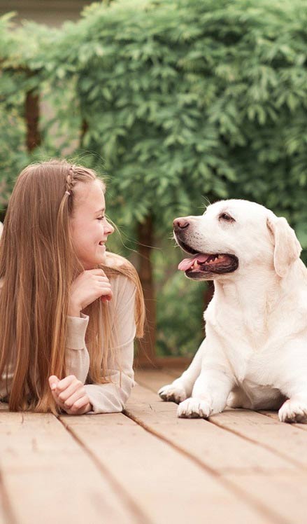 Type of worms banner_291px by 497px_2_v2